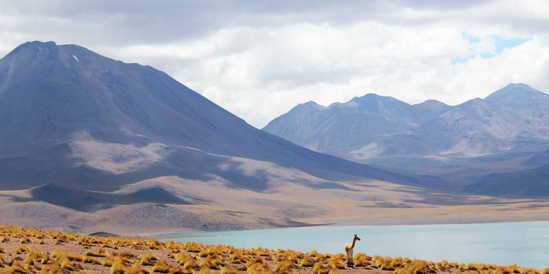 5G+TSN网络赋能智力机械：实现超高可靠与低时延通信的工业解决方案