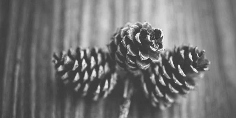 智力机械20:当机械制造拥抱智能,重塑工业解决方案新范式