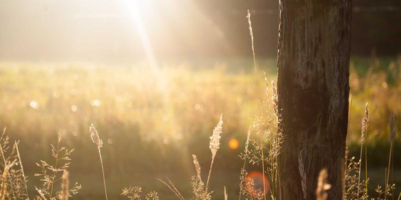 智力机械29：以精密制造为核心，重塑工业解决方案新范式