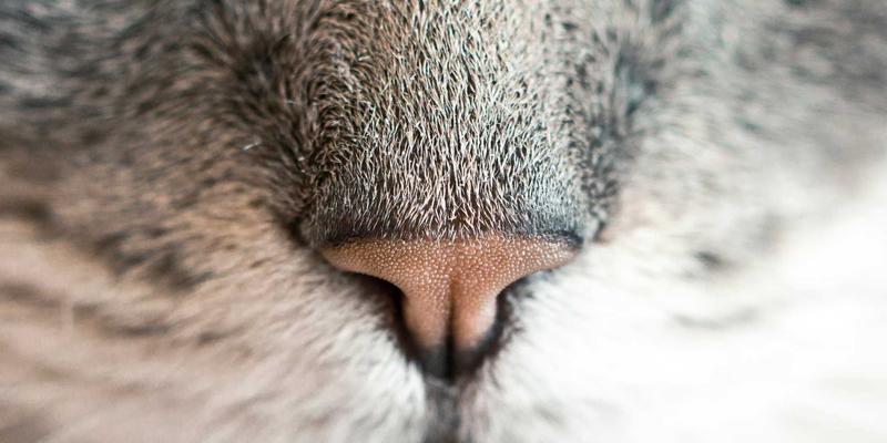 智力机械69：引领未来的工业解决方案与智能设备新范式