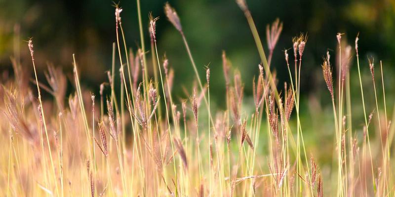 智力机械的安全冗余系统：异构传感器与形式化验证如何重塑机械制造安全架构
