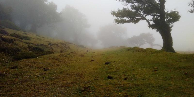 机械制造新革命：协作机器人如何通过意图识别与自适应响应重塑工业解决方案