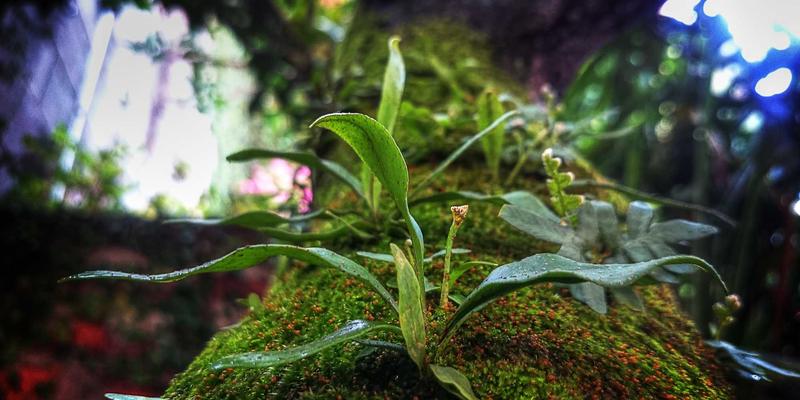 机械设备与工程机械的未来：基于数字孪生的全生命周期智能管理策略