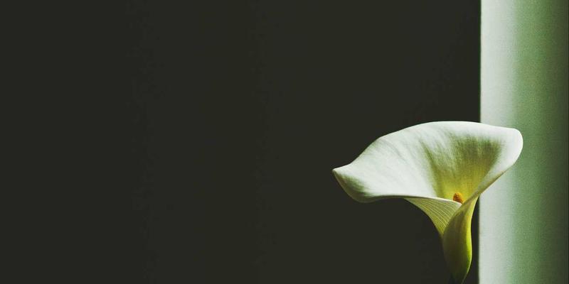 精密制造新前沿：面向极端环境的智力机械韧性设计，自修复材料与容错控制如何重塑工程机械未来