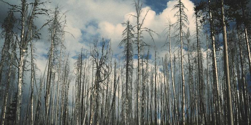 联邦学习赋能工程机械智能进化：数据隐私保护下的跨设备协同新范式